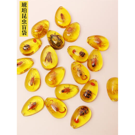 DRJEFUN insect amber specimen blind box insect amber raw stone children's scientific research exploration gift primary school textbook teaching popular science props 50 blind boxes without box shipped with 0 carat machine