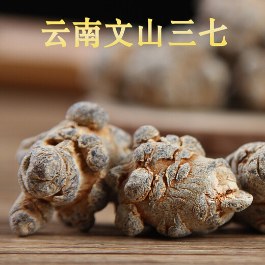 
Xiao Churen [Official Direct] Selected Panax notoginseng Yunnan Wenshan Selected Spring Panax notoginseng Authentic Tianqi Selected 15 heads and 15 without cutseng 500 grams [Medical Effect King]