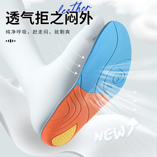迈高乐迈高乐 头层牛皮鞋垫 欧索莱春夏季防臭吸汗真皮皮鞋用男士不累脚 头皮牛层 1双 37-38