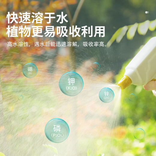 Stanley Potassium Dihydrogen Phosphate Flower Fertilizer Flower Special Phosphorus Potassium Fertilizer for Fruit Trees and Flowers 500g