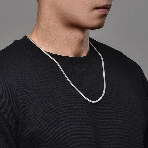 IDEAGEMER Snake Bone Chain Necklace Men's Fashion Trend Exquisite Personality Handsome and Versatile European and American Style Men's Plain Chain Clavicle Chain Fashion Snake Bone Chain-50CM