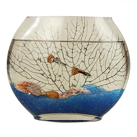 Fanbaiku creativo de peces de vidrio plano de boca plana ovalada, peces de pescado de oro de vidrio transparente ultra blanco mini acuario pequeño escritorio de escritorio 20 peces planos + piedras de colores