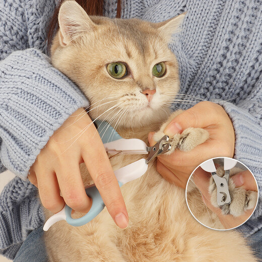 Huanpet.com cat nail scissors, cat nail clippers, cat claw scissors, pet nail clippers, kitten and kitten anti-shear blood line special artifact