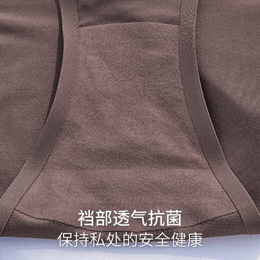 Fitonton Two-Pack Sexy Tanga Unterwäsche für Frauen Eisseide ohne Marke Antibakterielles Baumwollgekritch reiner Tanga Low Taille Slips L.