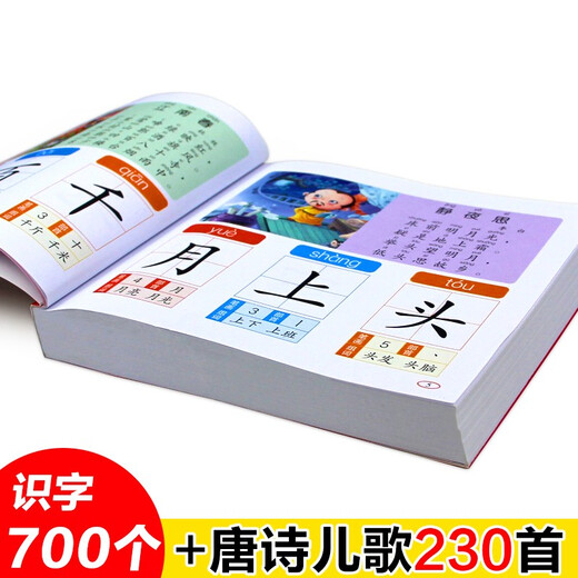 Literacy 700, a series of essential books for transition from kindergarten to primary school, textbooks for kindergarten to first grade, preschool children's word learning king, 3-4-5-6-year-old baby enlightenment preschool children's reading and literacy books, pinyin early education books for kindergarten to primary school entrance