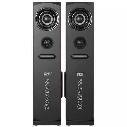 索爱（soaiy）K25家庭影院KTV音响蓝牙电视客厅会议环绕家用卡拉OK低音炮K歌唱歌组合落地音箱 K22家庭KTV音响+双话筒
