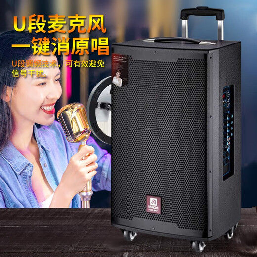 MALONE outdoor audio Bluetooth live broadcast K song square dance portable trolley speaker three-way subwoofer with sound card wireless microphone amplifier M12-inch lead-acid battery + dual microphone + gift
