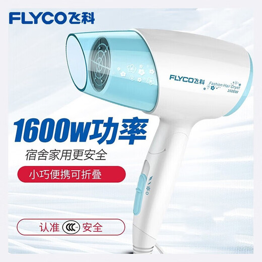 Borui Feike Hair Dryer Foldable Fan Negative Ion Hair Care Student Dormitory High Power Barber Shop Hotel Blower FH6223 1600W Foldable with Negative Ions