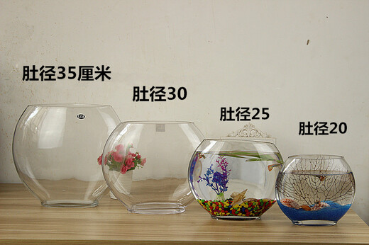 Fanbaiku creativo de peces de vidrio plano de boca plana ovalada, peces de pescado de oro de vidrio transparente ultra blanco mini acuario pequeño escritorio de escritorio 20 peces planos + piedras de colores