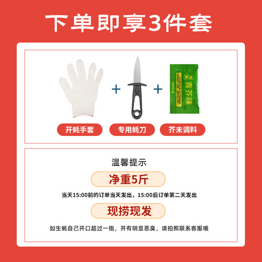 Fresh Jingcai Fresh Oysters 5XL Net weight 5Jin Jin is equal to 0.5kg 9-12 oysters, fresh to your home, fresh seafood, straight from the source