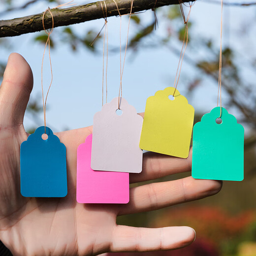 Shipton plastic experimental small tag green plant flower tag waterproof tag gardening seedling tag orchid plant tag 4*6 blue 100 sheets