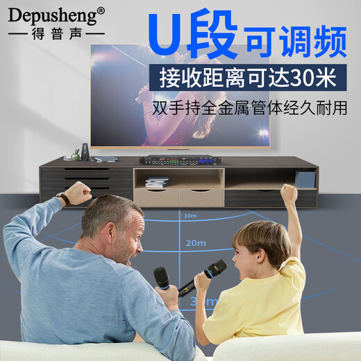 Depusheng Depusheng FX8 professional effector anti-howling KTV Bluetooth wireless microphone home feedback suppression audio set karaoke conference stage performance professional KTV anti-howling effector (with wireless microphone)