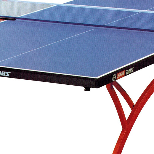 Double Happiness DHS table tennis table indoor table tennis table for training and competition (T2828) with grid/racquet/table tennis