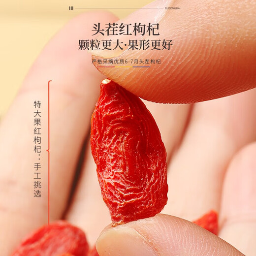 福东海 红枸杞 特大果级500克 精选宁夏中宁头茬红枸杞子免洗枸杞养生茶 【宁夏】红枸杞大果500g