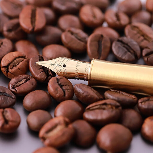 派克（PARKER）钢笔卓尔新款法国进口墨水笔18K金乘风而起礼盒高端轻奢商务送礼生日伴手礼谢师礼定制刻字套装 卓尔纯黑丽雅金夹墨水笔【18K金笔尖·实木礼盒】