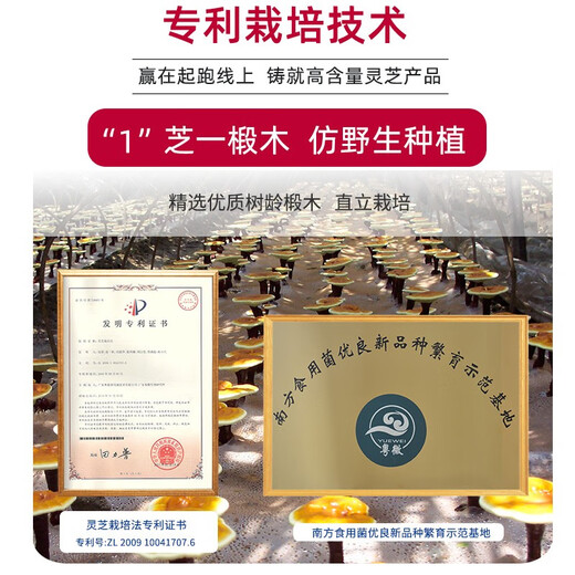 Yuewei Brand Breaking Wall Ganoderma lucidum Spore Powder Extract Capsules for Middle-aged and Elderly Health Products Gifts to Improve Immunity Triterpenes 90 capsules/bottle*1 bottle