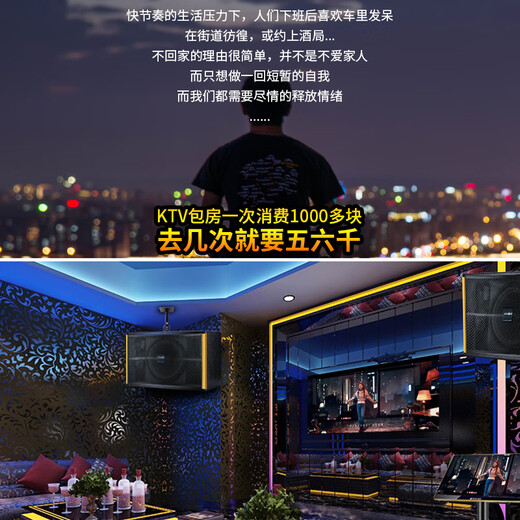 山水（SANSUI）PK-10专业大功率ktv卡拉OK音响K歌套装功放家用家庭点歌机唱K设备全套一体机商用会议舞台酒店音箱 10吋10喇叭音箱+功放+话筒+20吋3TB点歌机