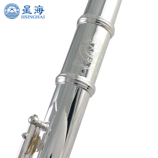 星海长笛镀银C调16键闭孔 E键长笛初学 专业院校考级乐器 16闭孔C调镀银E-181