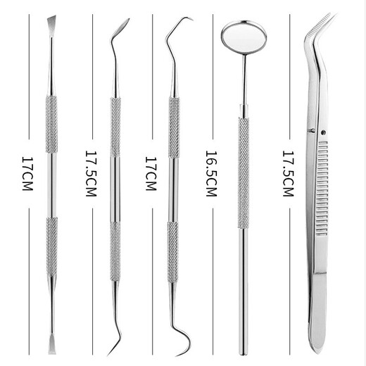 铂呐苓 牙结石神器 洁牙器牙齿科工具家用剔牙神器口腔护理清牙齿科牙 洁牙工具【五件套】