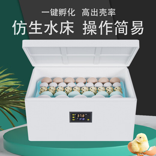 CLCEY chick incubator fully automatic 2024 small household smart chicken, duck, goose, pigeon, rutin, quail egg incubator 104 pieces fully automatic single electric color screen dual display + six modes