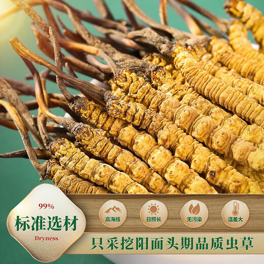 Shengdikangzang [Festliches Geschenk] Wild Cordyceps sinensis in Nagqu Nagqu Nagqu High-Höhe Cordyceps ausgewählte Geschenkbox 4 Stück/Gramm 20 Gramm