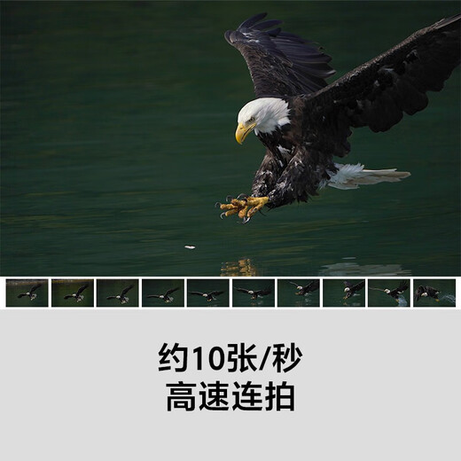 Sony (Sony) ILCE-7RM3A Full-Frame Micro-Single Digitalkamera etwa 42,4 Millionen effektive Pixel 5-Achsen-Anti-Shake A7R3A Tamron 28-200 (große Blende und ein Spiegel, um um die Welt zu reisen) Paket 2