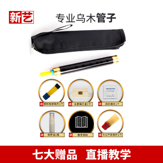 新艺新艺 专业乌木管子乐器催泪管筚篥初学者专业演奏型椭圆音孔 专业乌木G调+8大赠品