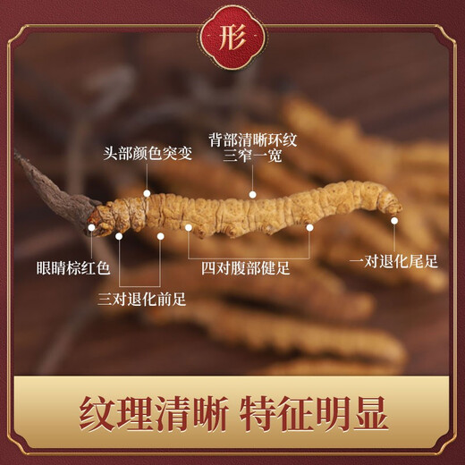 东紫云轩 冬虫夏草 6条1g GMP高标准 严控品质 中药材 中药饮片 1盒装