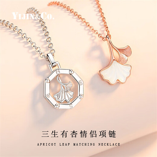 Yijin Sansheng Youxing Couple Necklace 999 Sterling Silver Pair of Necklaces for Women Summer 2025 New Chinese Valentine's Day Gift for Boy and Girlfriend Women's Platinum (999 Silver)