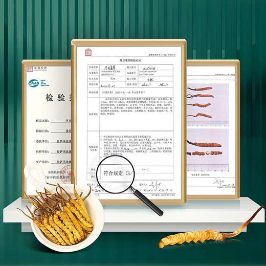 San Dikang Cordyceps sinensis, New Cordyceps secos sinensis 3 raíces/g [1 gramo de degustación]
