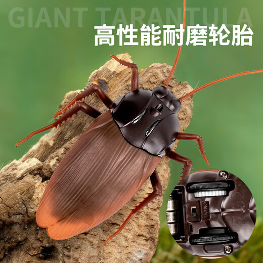 旌梦园儿童仿真动物玩具感应电动蟑螂男孩小女孩黑科技整蛊仿真动物玩具 【迷你版-感应蟑螂】棕色款9902A 【豪华版】另赠36粒电子