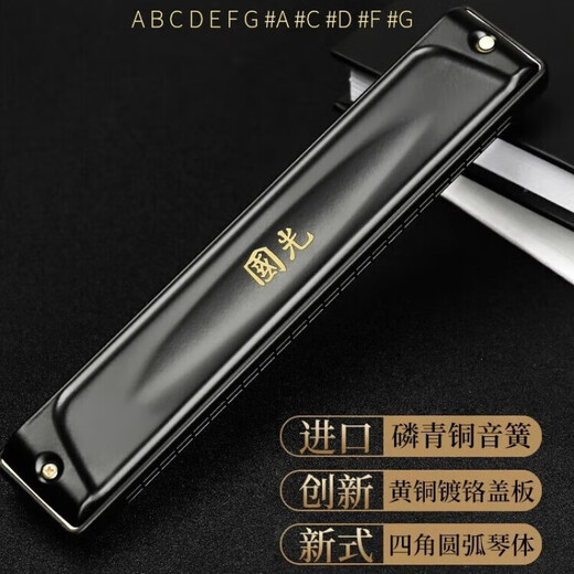 国光口琴套装7支12特别调#ABCDEFG调复音重音24孔专业演奏级成人 24孔 亮光黑7调套装 +全套赠品