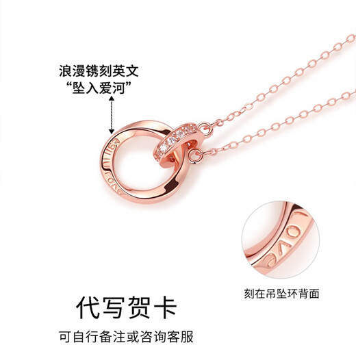 PWL 莫比乌斯环999足银项链女轻奢小众2025新款锁骨链颈链送女友礼物 银色+证书+品牌礼盒