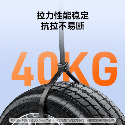 山泽自锁式尼龙扎带小号 2.5*100mm 电脑装机 园艺理线带束线带绑带 黑50根/包ZD-67