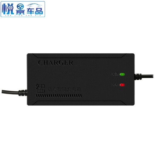 桐汝壁适配 新蕾电动车充电器4812AH6020AH 7232AH电车三轮车通用 4840AH 通用T型