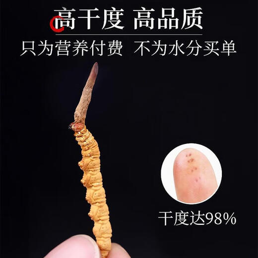 Sejila Cordyceps sinensis frisch getrockneter Cordyceps nahrhafte Geschenkbox 4 Stück/g [50 Gramm] 200 Stück