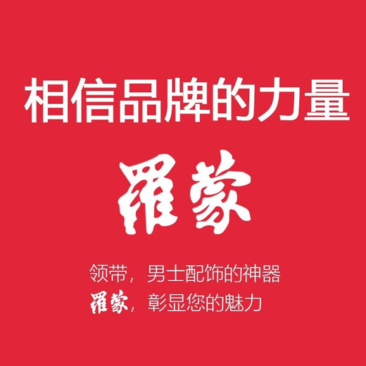 罗蒙领带夹子时尚正装商务办公绅士职业简约领带夹别针礼盒装男 9SP805055-28