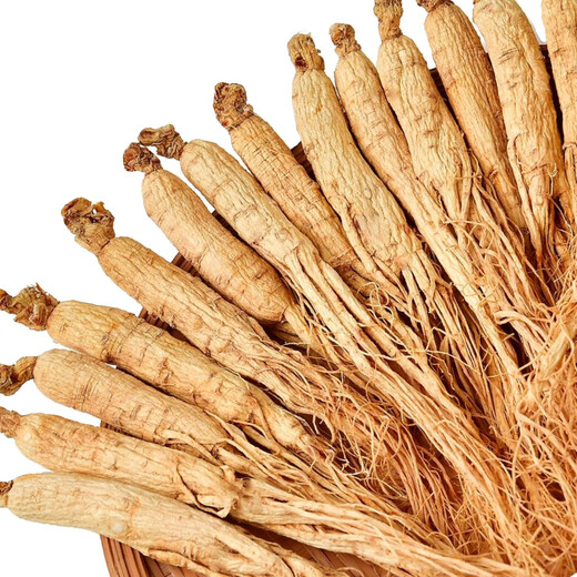 Kompendium des Cinnamomum Changbai Mountain getrockneter Ginseng White Ginseng 10-jährige Ginseng Prauning ausgewählte Wild Mountain Ginseng Nordost-Spezialitätengewinnung gewonnener Wein und Suppengarten Ginseng ausgewählt ausgewählt Changbai Mountain Wild Ginseng ausgewählte 12-jährige Ginseng [60 Gramm] etwa 12 Wurzeln