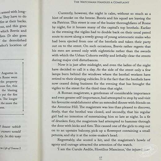 预售 古罗马二十四小时 英文原版 24 Hours in Ancient Rome 历史