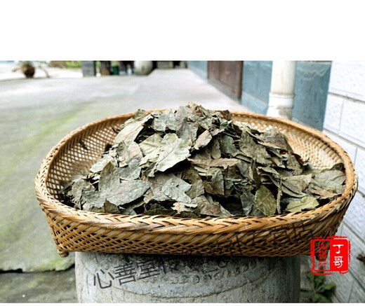 Yourrentang Green Money Willow Tea Centennial Tree Green Money Willow Health Tea Makes The Leaf Tea Gold Money Willow 170g
