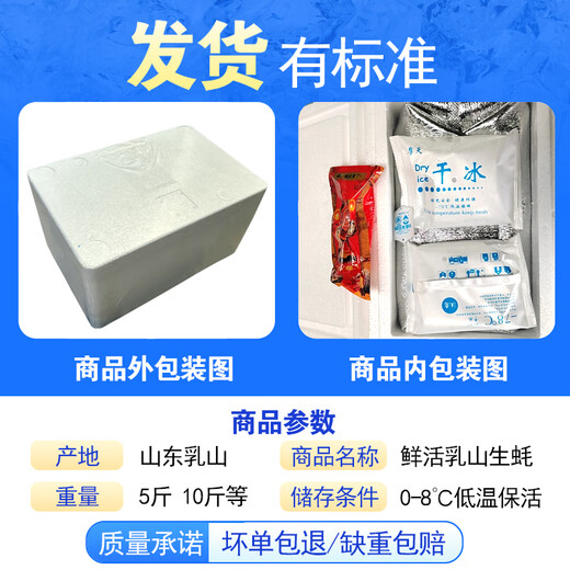 Popular Rushan oysters, fresh oysters, extra large seafood oysters, 5 Jin Jin equals 0.5 kg, whole box of fresh oysters, 5 Jin Jin equals 0.5 kg, 3XL size, 15-18 pcs, quality guaranteed