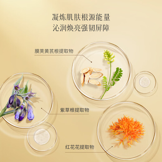 Chunjuan Astragalus cremeheller Hautton verbessert die dunklen feuchtigkeitsspendenden Männer und Frauenhautpflege und feuchtigkeitsspendende Gesichtscreme Klassische alte chinesische Produktfeuchtigkeits -Feuchtigkeitsflasche [Advanced Version, Trockenhaut Love]