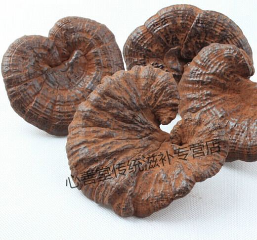 Yourentang Guangxi halbschwarzer Ganoderma lucidum 500G Guangxi 100.000 Berge beschnitten Ganoderma lucidum Red Ganoderma lucidum Gras enthält Sporenpulver g