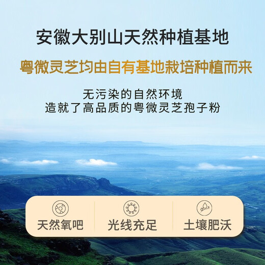 Yuewei Brand Breaking Wall Ganoderma lucidum Spore Powder Extract Capsules for Middle-aged and Elderly Health Products Gifts to Improve Immunity Triterpenes 90 capsules/bottle*1 bottle