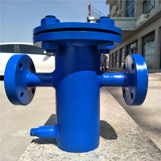 Shourunheng straight-through basket filter DN300-16C