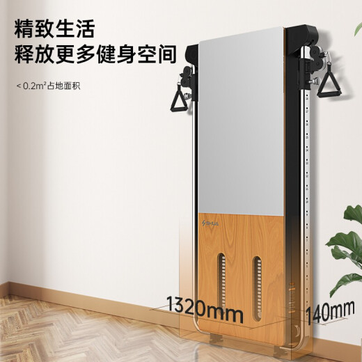 Shuhua (shua) [cabello liso oficial] entrenador de cuerda montada en la pared para el hogar entrenador integral para el equipo de entrenamiento de fitness de fitness sh-g699