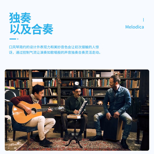 雅马哈（YAMAHA）口风琴P-37D教学娱乐37键儿童学生音乐玩具初学入门启蒙乐器 P-37D