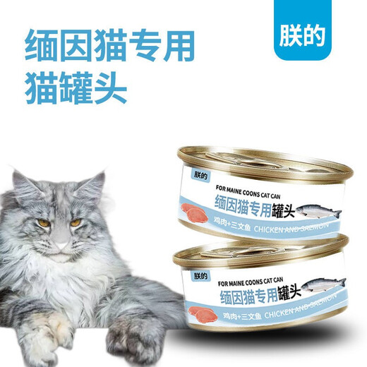 My special canned cat food for Maine Coon cats, beautiful and beautiful hair for young cats 170g salmon and chicken flavor nutritious cat food. Two cans of my special canned food for Maine Coon cats.