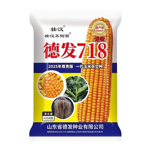 Brave Man Defa 718 High-Yield Corn Seeds Sammlung der landwirtschaftlichen Wissenschaftsakademie für landwirtschaftliche Produkte Double Rod Short Rod Anti-inverted Mais Standard Hot [etwa 4220 Körner]