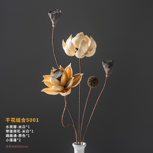 荣弘发干花花束真花装饰摆件荷花风干莲蓬天然莲藕禅意插花中式客厅摆设 干花组合 5008